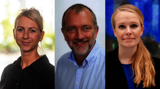 Drei Porträtfotos IHK, Lehrkraft und DIHK zur Illustration Interview "Starkes Netzwerk für Brandenburg"